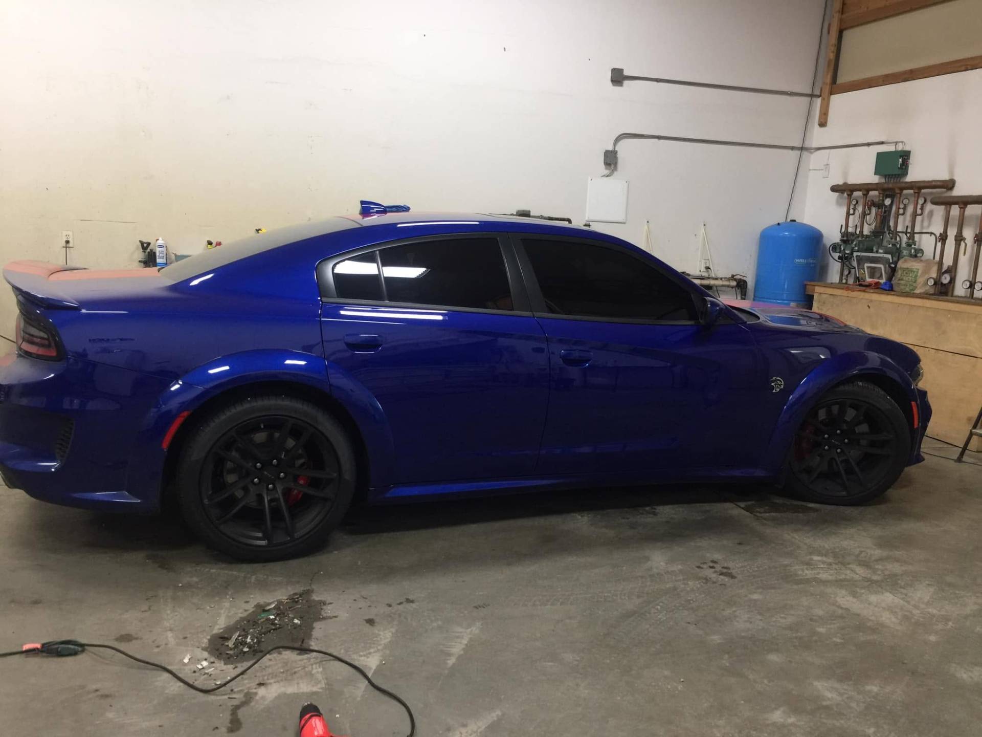 Tinted Dodge Charger